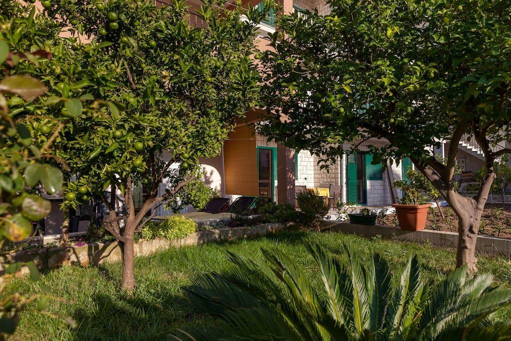 Apartmani Sanja Suta Podstrana Dış mekan fotoğraf